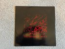 Vinyl 12