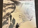 Echo And The Bunnymen - Porcupine - Reissue White Vinyl LP, 2020 Korova Records
