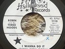 PRIVATE 1966 PROMO Garage Rock 45  Robin & Three Hoods 
