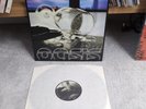 Oasis 12