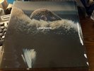 Beyonce Lemonade (Record, 2017)