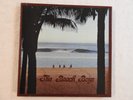 The Beach Boys 