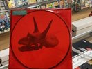 ALICE IN CHAINS - The Devil Put Dinosaurs Here - 2 LP - 180g-PICTURE DISC vinyl