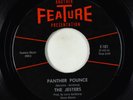 Surf Inst. 45 - Jesters - Panther Pounce/Tiger Tail - Feature