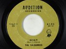 Surf Inst. 45 - Vaqueros - Echo/Desert Wind - Audition