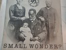 The Carpettes Small Wonder 7