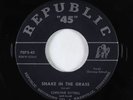 R&B 45 - Christine Kittrell - Snake In The Grass - Republic