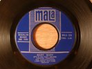 The Birdwatchers Mary Mary/Cry A Little Bit RARE  Garage, Psych 1967 Mala