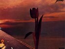 The Pretty Things Parachute (Vinyl) 12