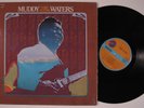 MUDDY WATERS 
