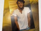 Andy Gibb Greatest Hits - A 1980 Vinyl LP Album - RX-1-3091 - With The Bee Gees