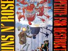 NM/EX Guns N Roses Appetite For Destruction Vinyl LP  Record Banned Cover