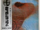 PINK FLOYD MEDDLE ODEON OP80375 Japan VINYL 12