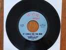 Sunny and The Sunliners 