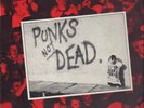 The Exploited Punks Not Dead NEAR MINT Secret Vinyl LP
