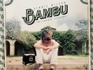 LIKE NEW - COLORED VINYL - 2xLP - Dennis Wilson - Bambu (The Caribou Sessions)