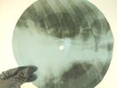 LED ZEPPELIN FRIENDS X-Ray USSR Record Roentgen Bone Ribs Music Vinyl