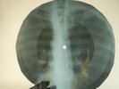 BOB DYLAN HARD RAINS ARE GONNA  X-Ray USSR Record Roentgen Bone Ribs Music Vinyl