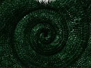 Chameleon by Trauma Ray (Record, 2024)