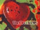 The Breeders - Last Splash (Vinyl LP - 1993 - UK - Reissue)