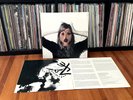 The Blood Brothers – Young Machetes. 2 x lp.
