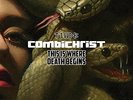 Combichrist - This Is Where Death Begins  [VINYL]