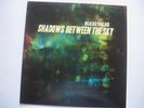 Buckethead – Shadows Between The Sky 2010 Near Mint