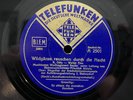 Telefunken 1930s Germany - Wildganse Rauschen - 10