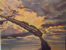 DEEP PURPLE Stormbringer LP from PERU Hard Rock