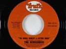 70s Soul 45 - Newcomers - The Whole World's A Picture Show - Truth VG+