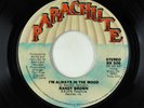 70s Soul 45 - Randy Brown - I'm Always In The Mood - Parachute VG++