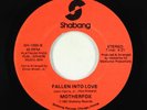 Modern Soul Boogie 45 - Motherfox - Fallen Into Love - Shabang VG+