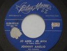 Rockabilly JOHNNY AMELIO Jo Ann Jo Ann / I'll Forever BLUE MOON original 45 Hear