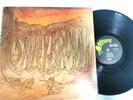 savoy brown - US Parrot - Blue Matter