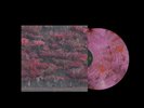 Sleep Token Even In Arcadia Glass Of Port Vinyl Revolver US Exclusive IN HAND