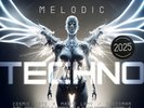 Various Melodic Techno 2025 (Vinyl) (UK IMPORT)