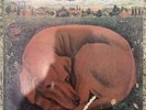 Ticket - Let Sleeping Dogs Lie RARE Orig 1972 Oz Press Prog Rock LP Vinyl Record