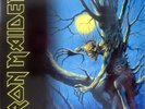 Iron Maiden - Fear Of The Dark (2xLP, Album, RE, RM, Gat)
