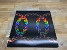 Tool - Lateralus Vinyl Picture Disc LP