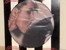 BLONDIE Parallel Lines Picture Disc LP 1978 Chrysalis ORIG US PRESS PLEASE READ