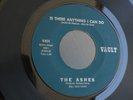 Z28 VAULT 924 POP ROCK THE ASHES IS THERE ANYTHING I CAN DO EVERY LITTLE PRAYER