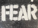 FEAR - The Record - 12