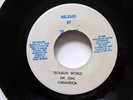 Chinafrica 45 Troubled World J&L 1980 Roots Reggae VG+ Jamaica