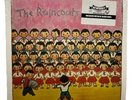 THE RAINCOATS “The Raincoats” Vinyl LP METALLIC SILVER 2019 Reissue KRS 515  VG+
