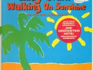 LP Eddy Grant Walking On Sunshine - The Very Best Of Eddy Grant NEAR MINT
