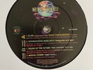 Sound Of The Future - The Lighter VIP Mix / Paragon VIP 12