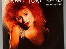 Y KANT TORI READ the big picture (Tori Amos) PROMO U.S. PR 2298 VINYL 12