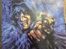WARLOCK - TRIUMPH AND AGONY 1987 VINYL VERTIGO VERH-50