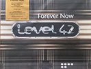Level 42 - Forever Now - Vinyl Record - D12526A