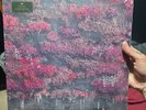 Sleep Token - Even in Arcadia - Arcadian Bloom Exclusive LP Vinyl 2LP Presale